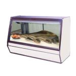 Display Case, Deli Seafood/Poultry